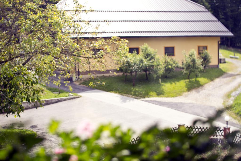 Farm stay Tourist Farm Mraz *